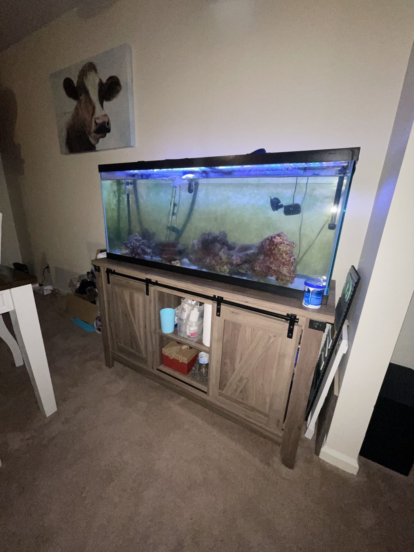 55 Gallon Fish Tank With Stand for Sale in Hummelstown, PA OfferUp