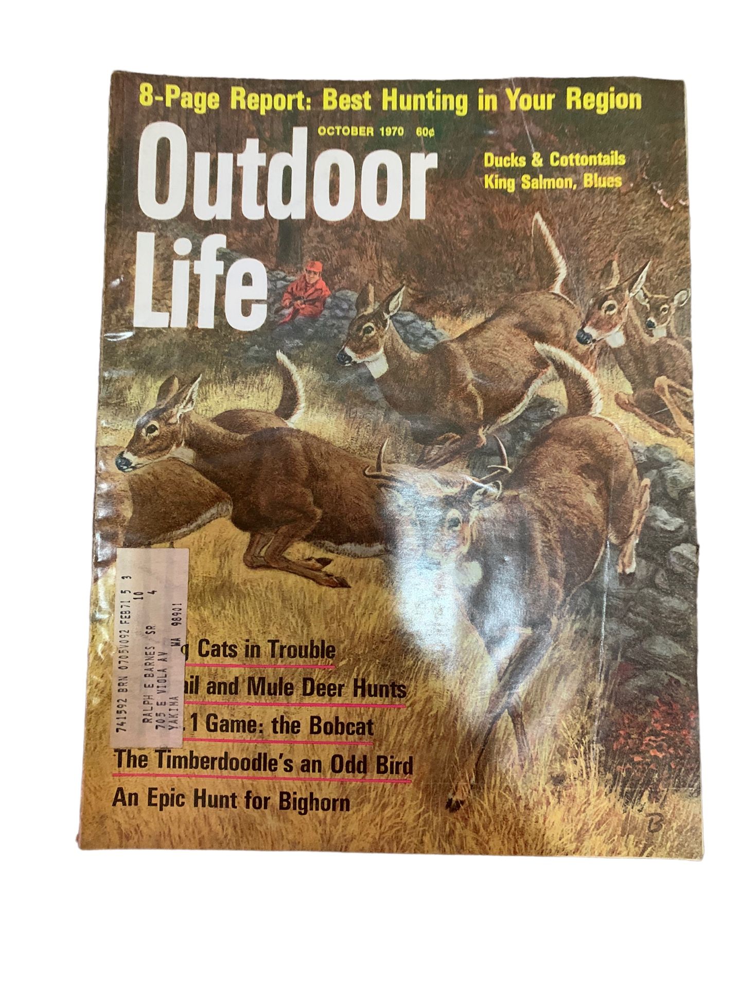 (6) Vintage 1970’s Outdoor Life Magazine Beautiful Front Covers
