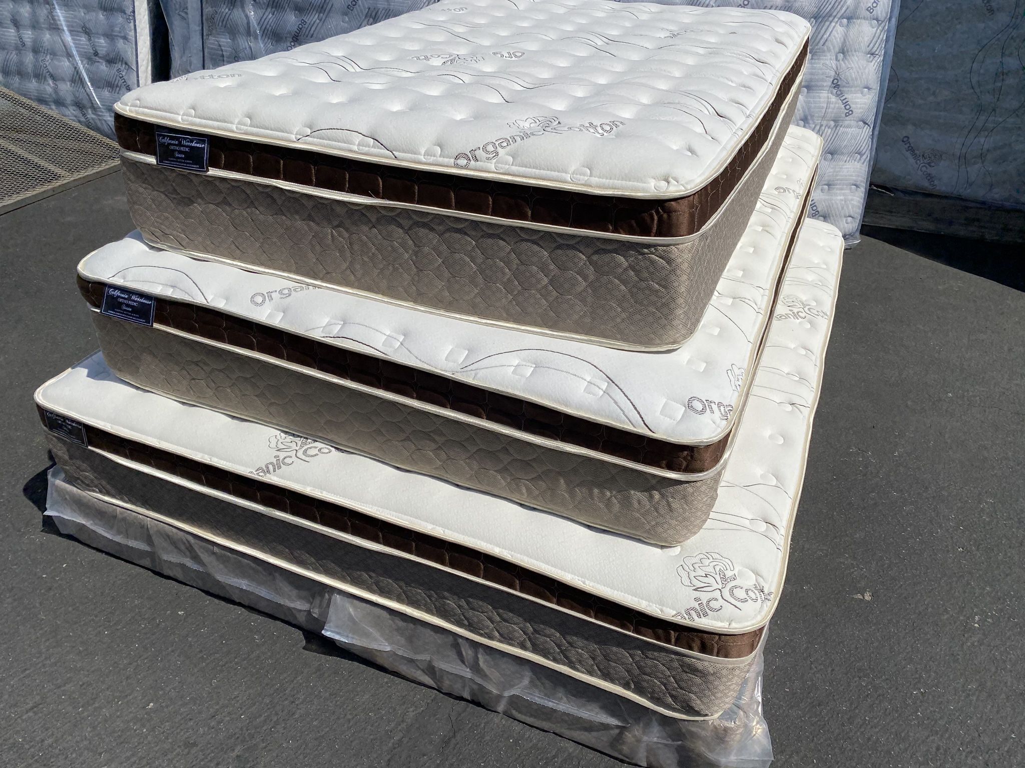 Queen Organic Cloud Edition Europillow Top 12inch Matres!!