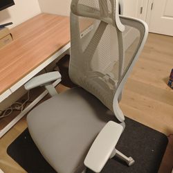 Ergo Chair. Moving sale.