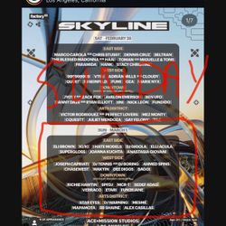 Skyline 2026 Pass (Sunday Only)
