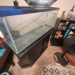 55 gallon glass aquarium & stand
