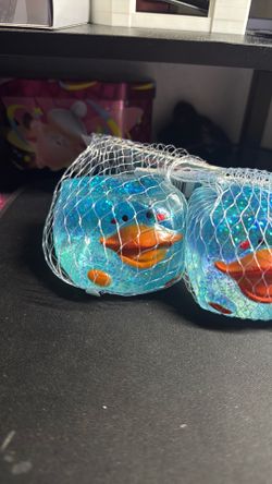 Squishy ducks