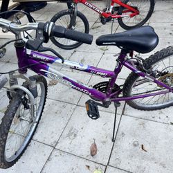 Woman’s 24” Mountain Bike