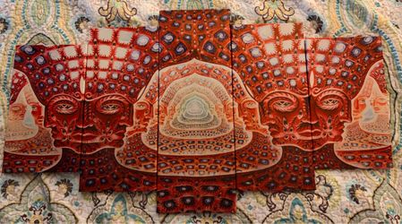 Alex Grey Net Of Being Vinyl Wall Art