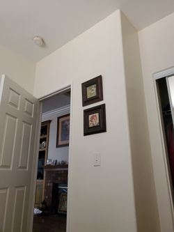 Two Little Pictures Of Flowers 