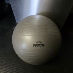 Core Secrets Exercise Ball Yoga Ball
