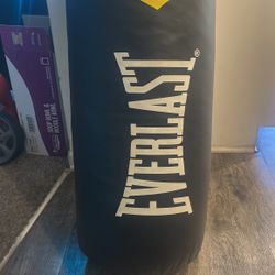 Everlast 75 Lb Heavy Bag