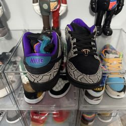 Dashawn Jordan Nike SB Dunk Low Size 13