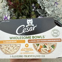 Dog Food