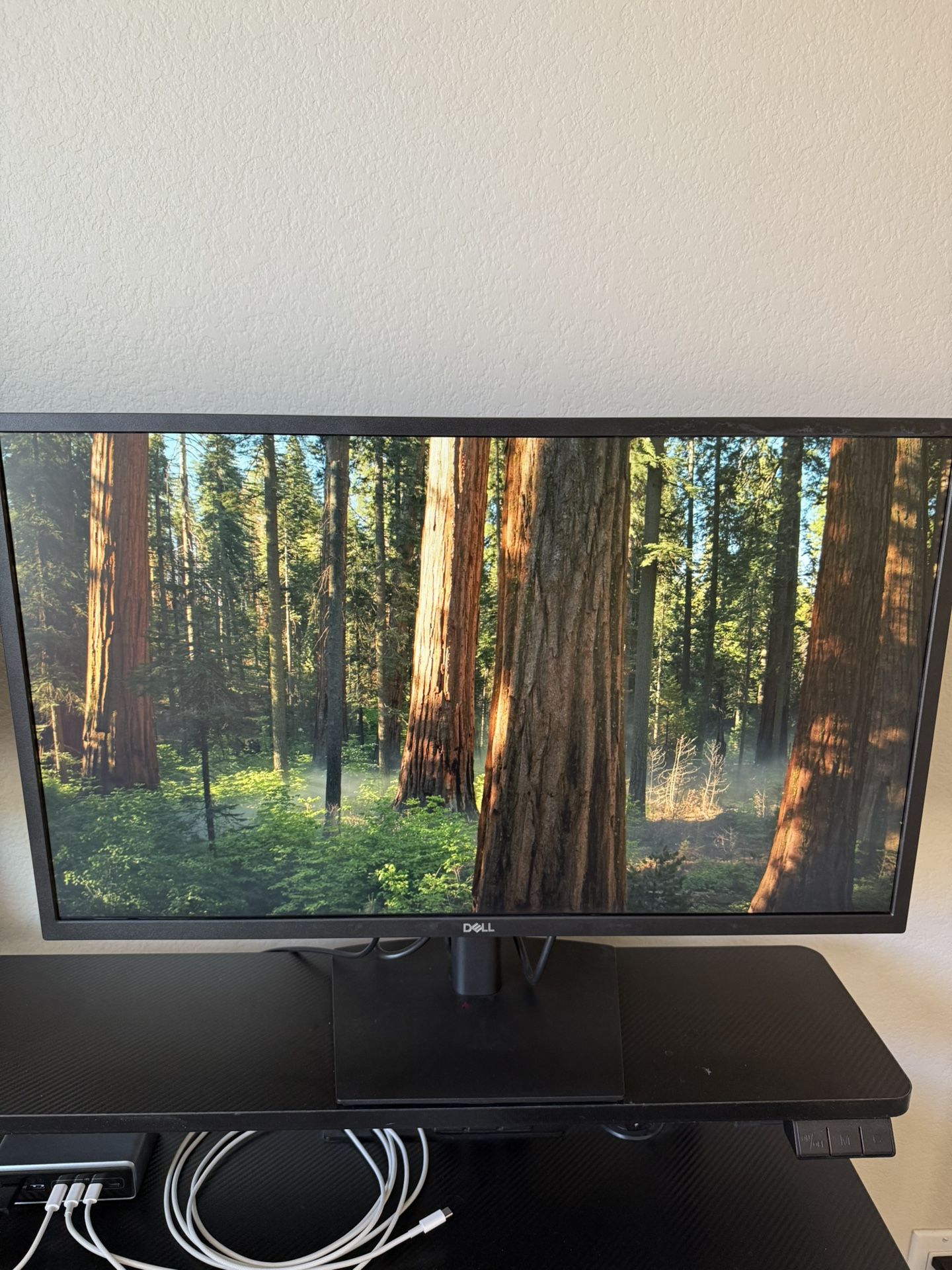 Dell 27” Monitor