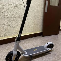 Segway Ninebot G30lp