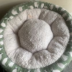 For your pet!   Please 