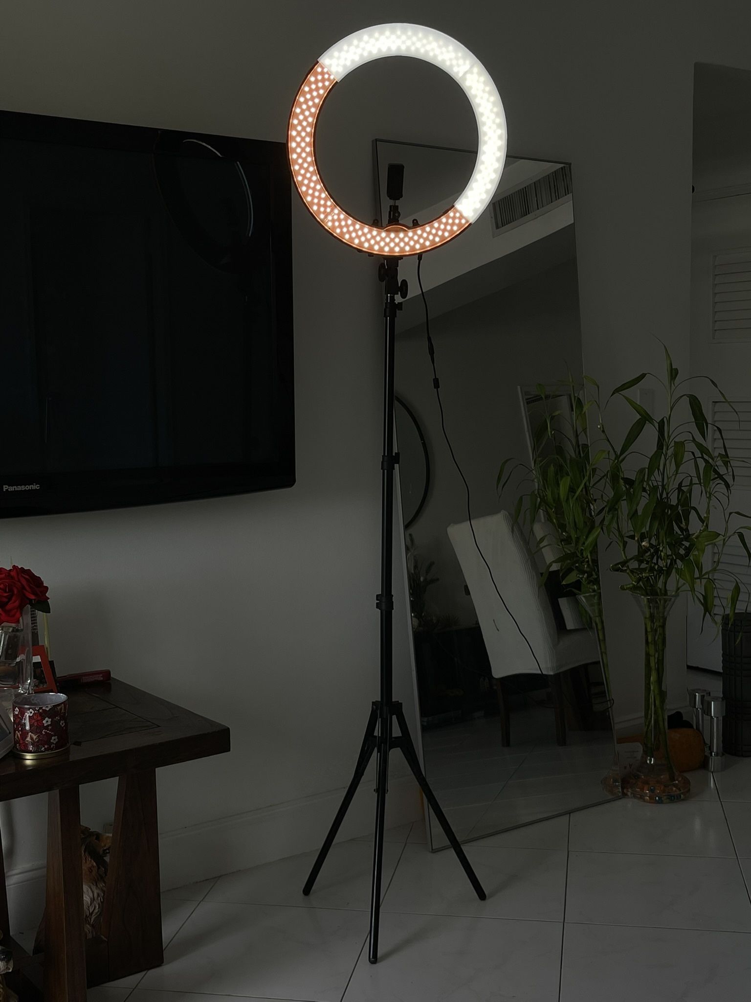 NEEWER Ring Light 18inch Kit: 55W 5600K Professional LED with Stand and Phone/Camera Holder