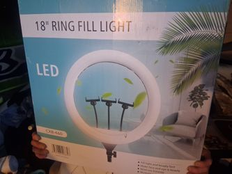 Lights