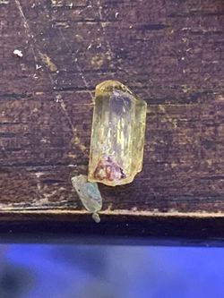 Golden Apatite From Durango Mexico Mines