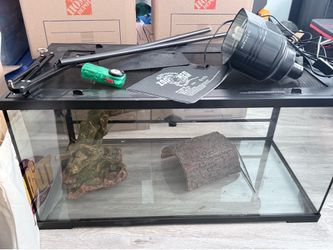 Gently Used Bearded Dragon Habitat