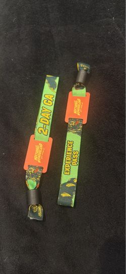 2 Day Ga Nocturnal Wonderland wristband