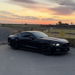2015 ecoboost mustang