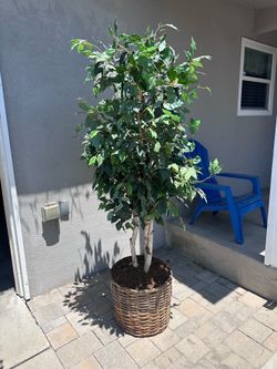 6 Ft Artificial Ficus Tree with Decorative Woven Basket