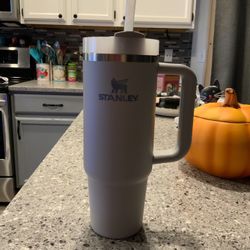 New 30oz  Stanley Tumbler