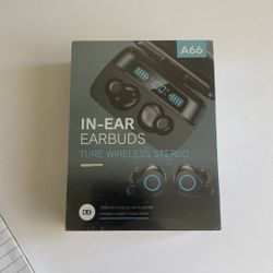 Wireless Earbuds 