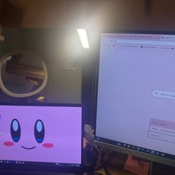 HP Monitor