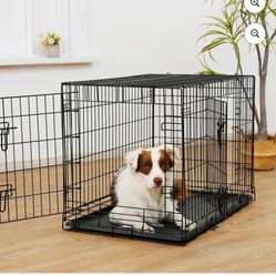 Vibrant Life Wire Dog Crate, Double-Door, Divider and Leak-Proof Tray, Metal, Foldable, Durable, Black, 36"
