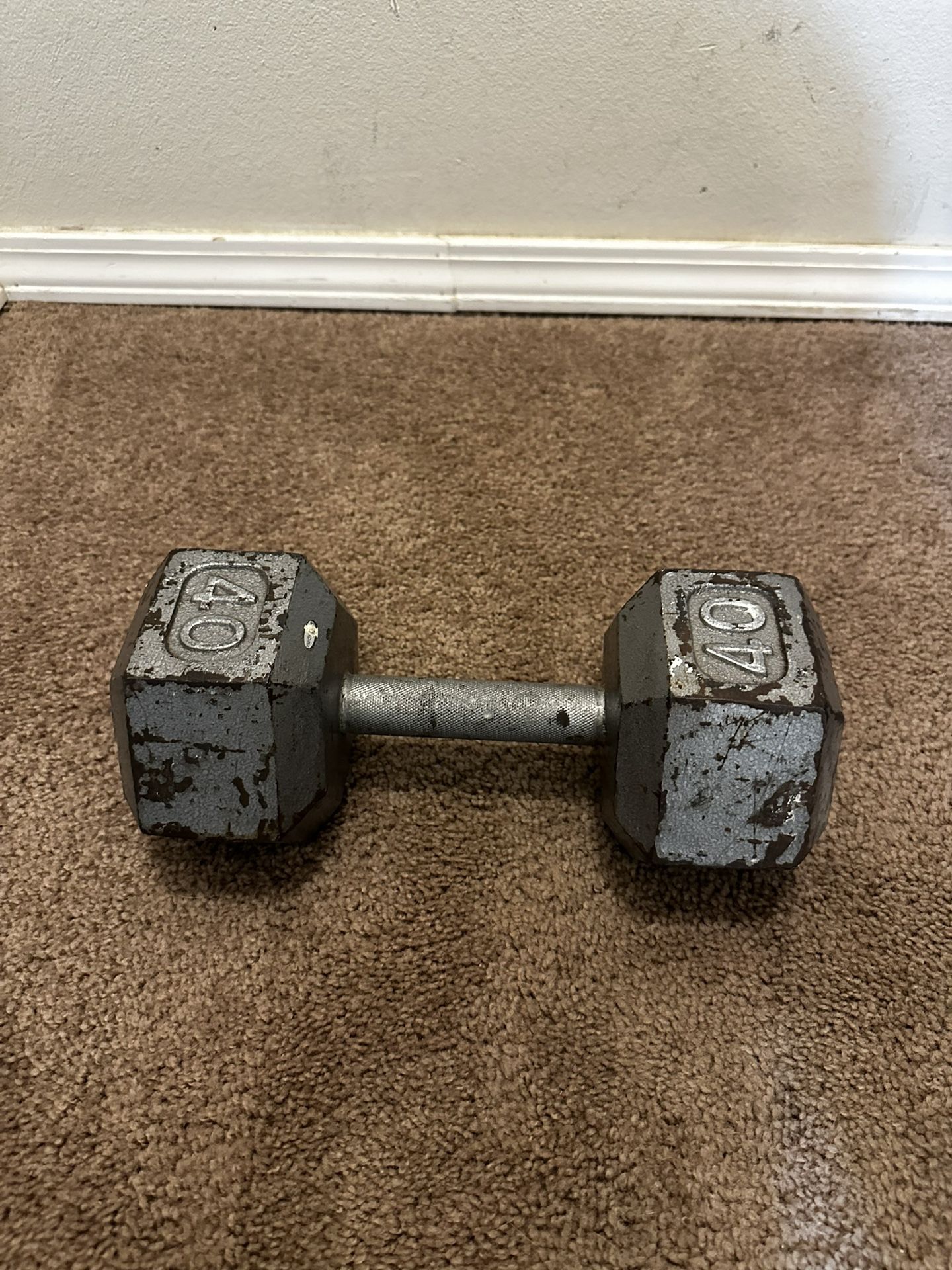 40 LB Cast Iron Hex Dumbbell