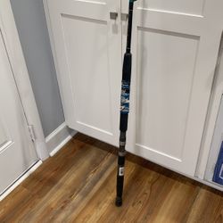 Shakespeare Tide Water Rod