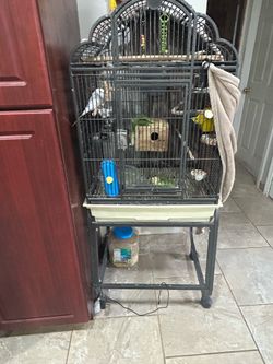 Professional Bird Cage with Built-In Heater
