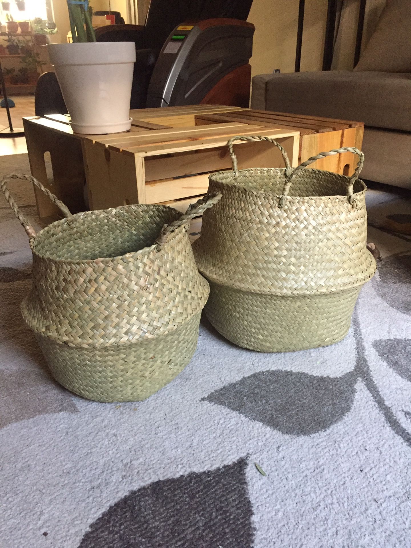 Plant baskets