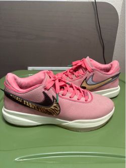 Nike LeBron 20 South Beast