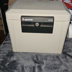 Sentry Fireproof Box