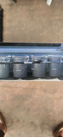 HaulMaster Ratcheting Cargo Bar