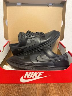 Nike Dunk Low GTX - Size 11 Mens