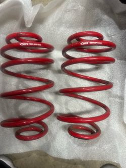 Rear Lowering springs