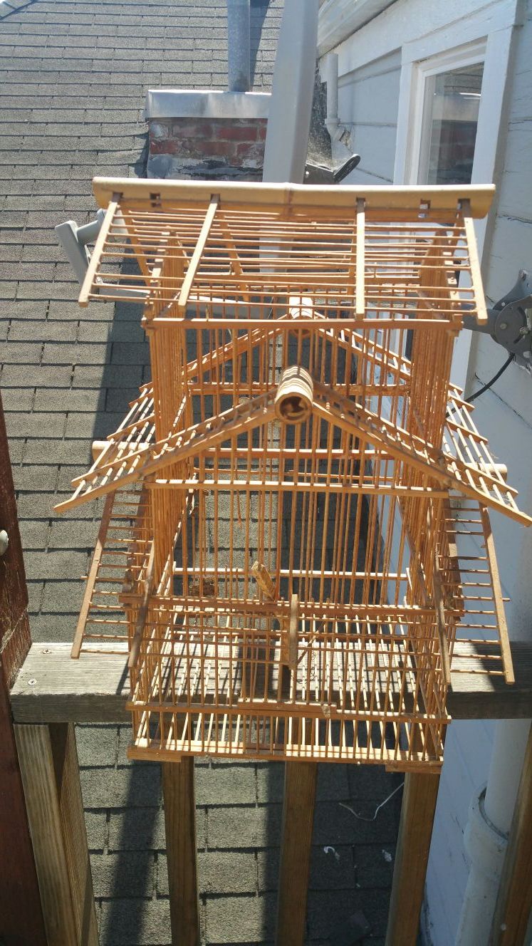 Bird cage