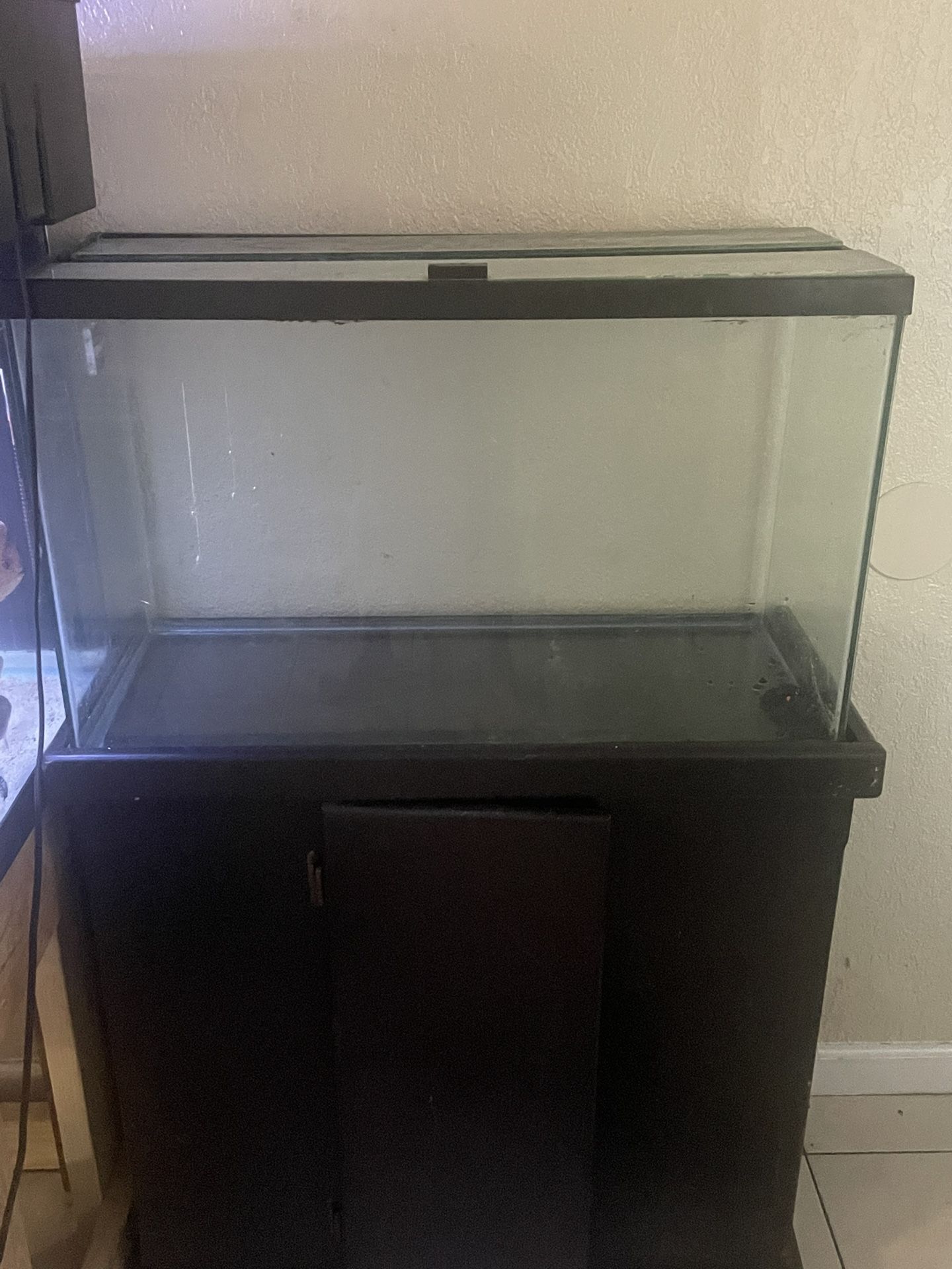 40g Fish Tank
