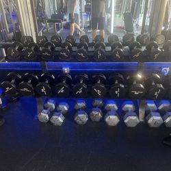 Dumbells & Barbells 