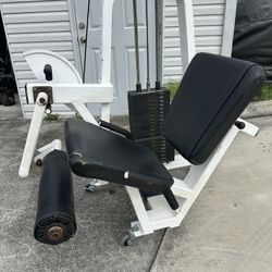 Icarian Leg Extension Selector Machine  280 Lbs Stack