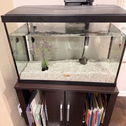 Fish Tank 20gallon Fresh Water