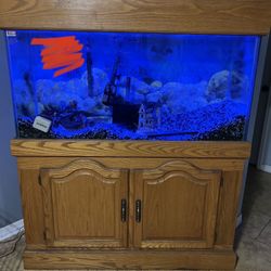 90 Gallon Aquarium