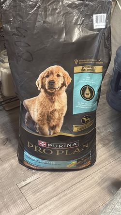 Golden Retriever Food
