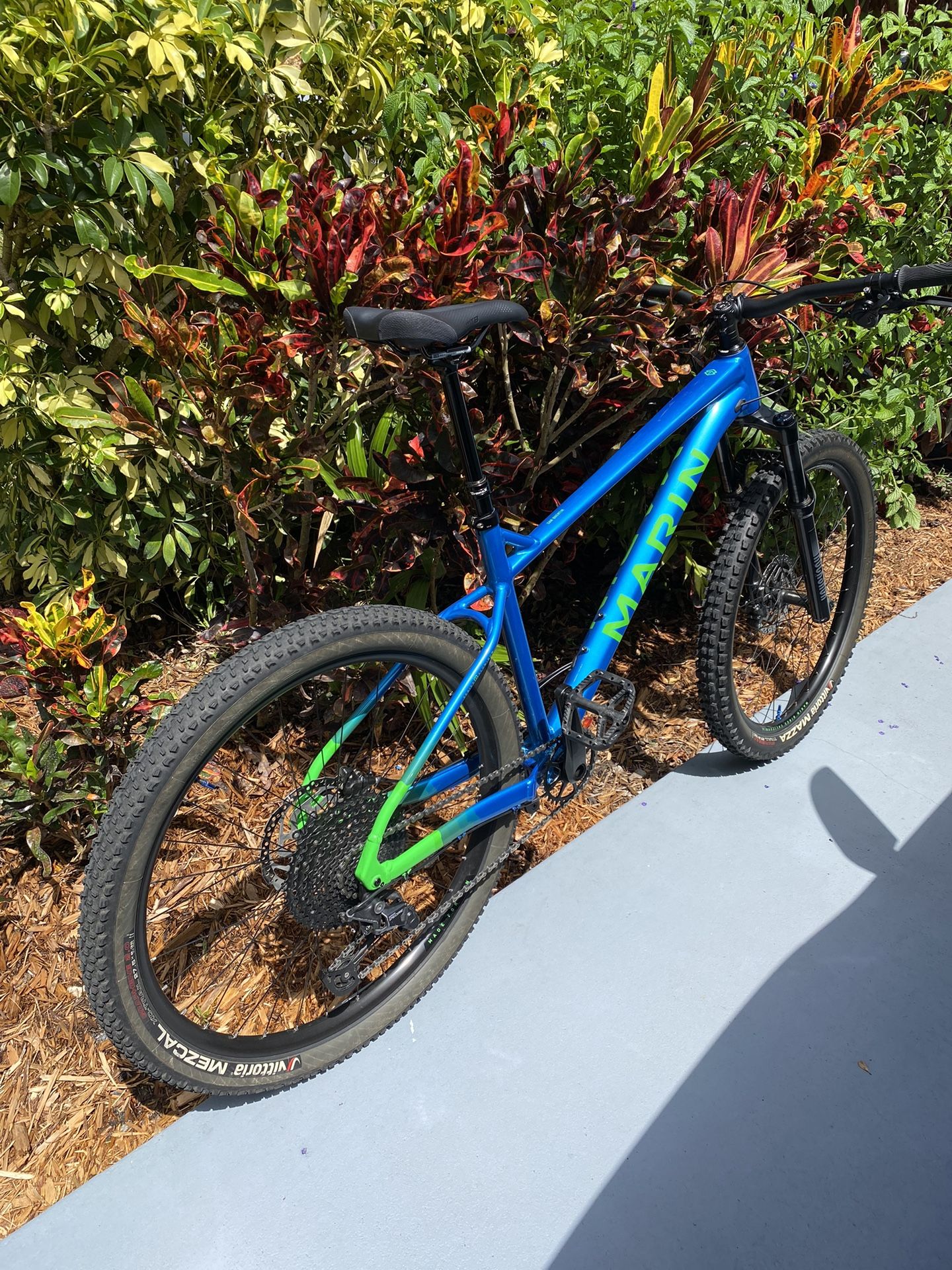 Mountain Bike