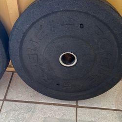 45LB Rogue US-MIL Spec Bumper Pair