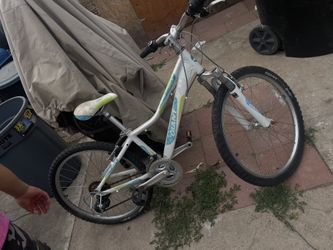 2014 Giant Areva 24 Bike
