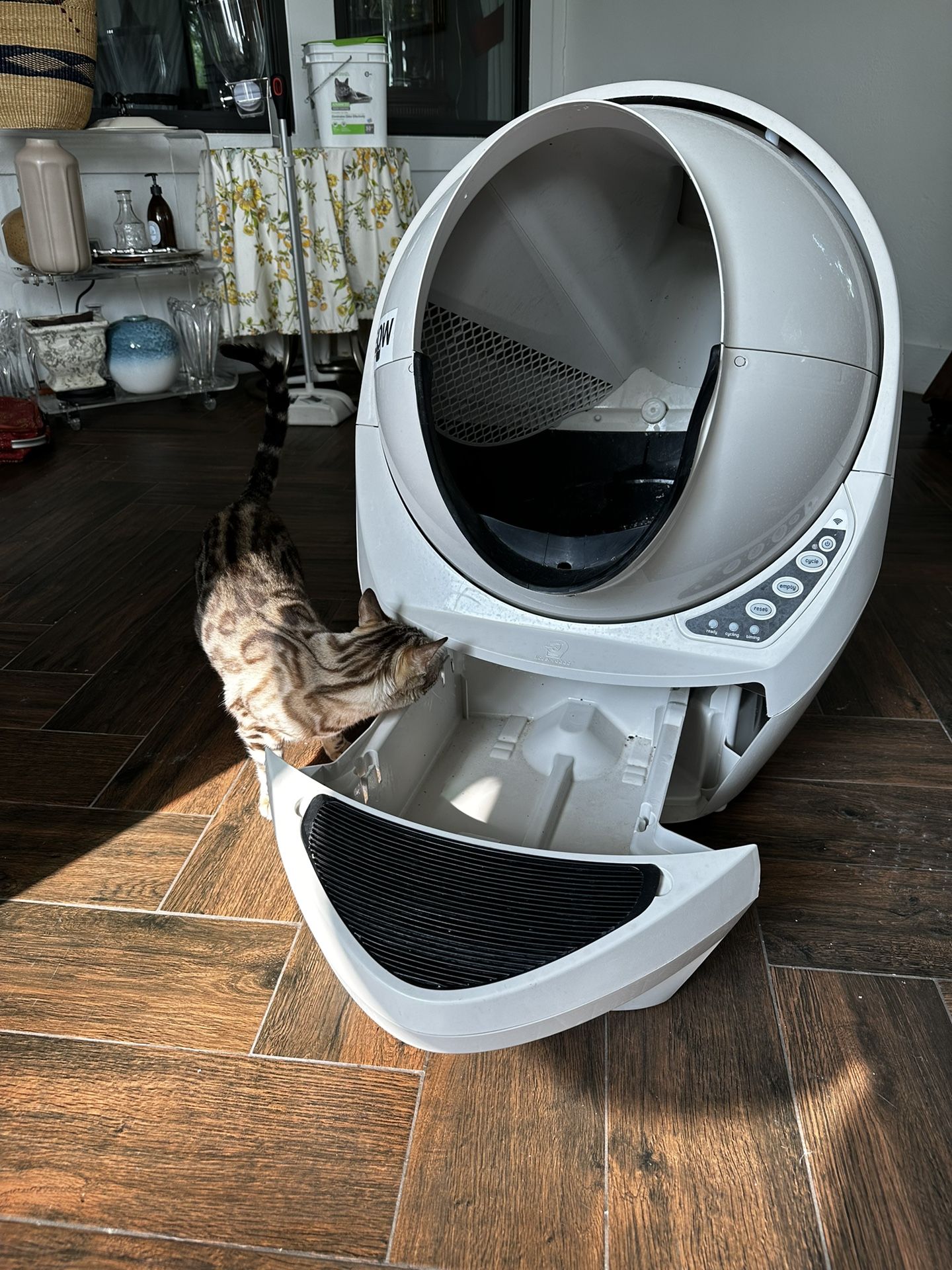Litter Robot 3 Used for Sale in Sugar Land, TX OfferUp