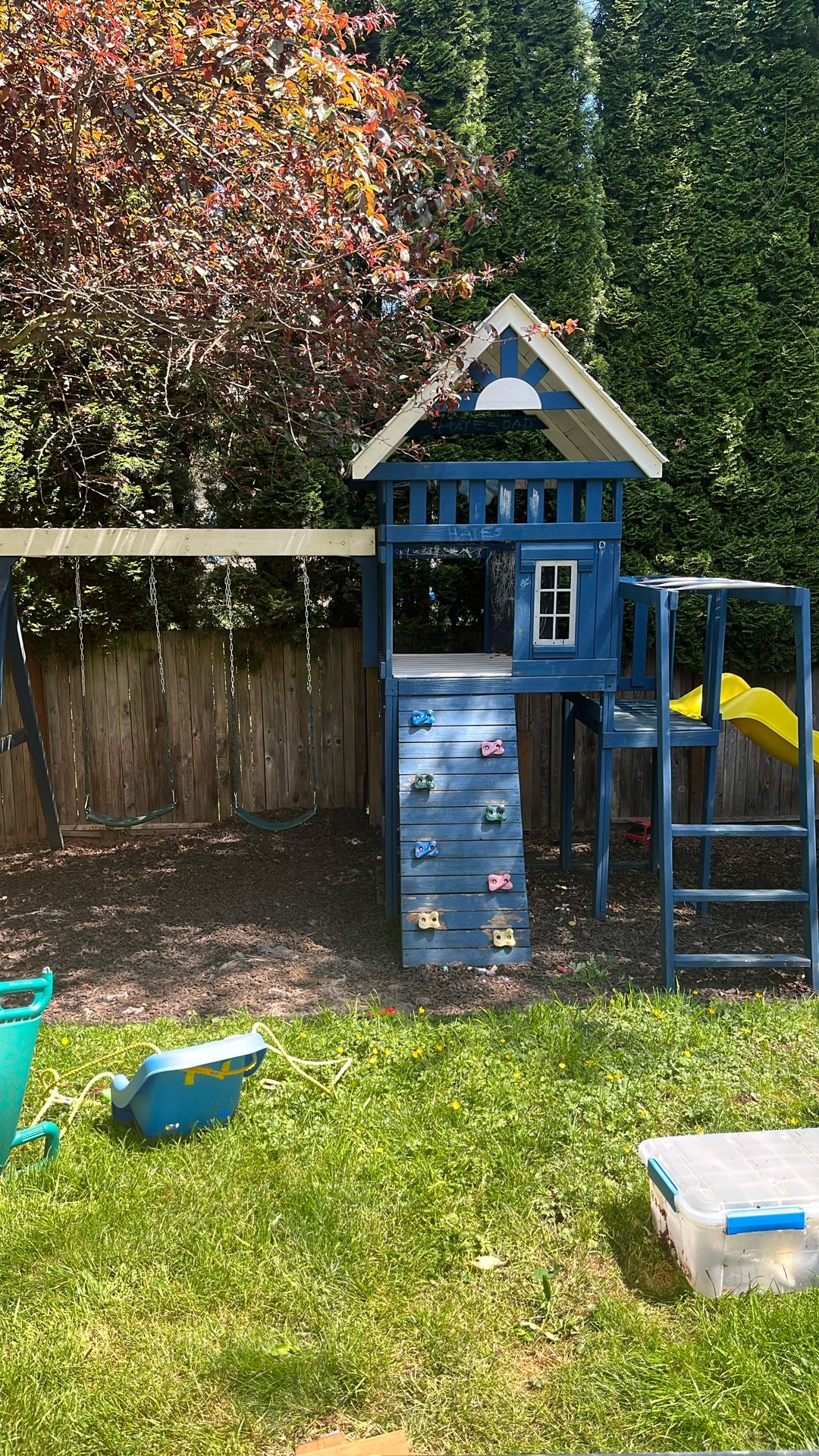 Player/swing Set