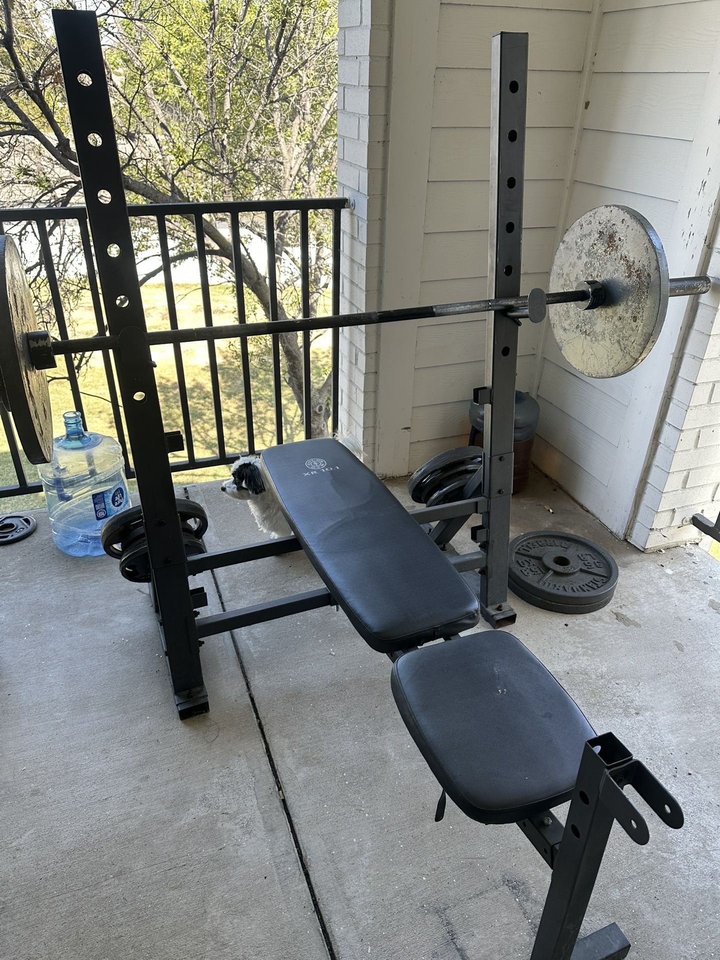 Weight Bench & Bar